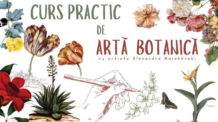CURS DE ARTĂ BOTANICĂ